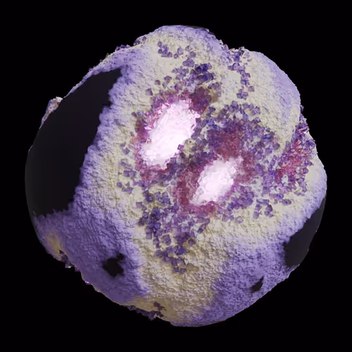 Asm Gen Ii Brains