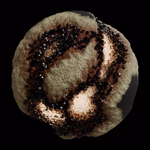 Asm Gen Ii Brains