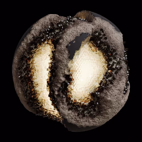 Asm Gen Ii Brains