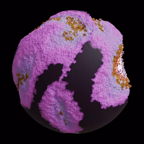 Asm Gen Ii Brains