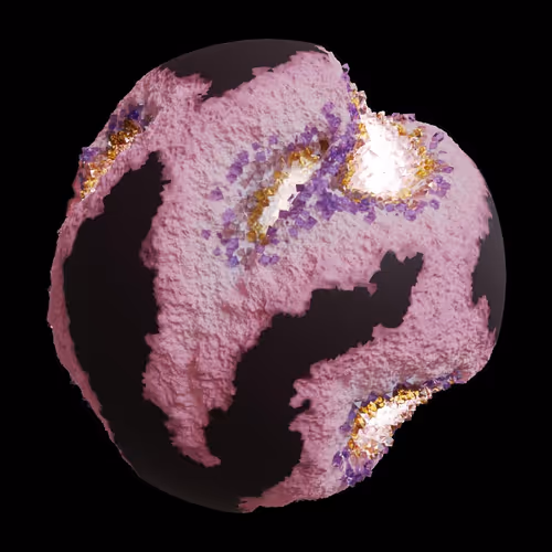 Asm Gen Ii Brains