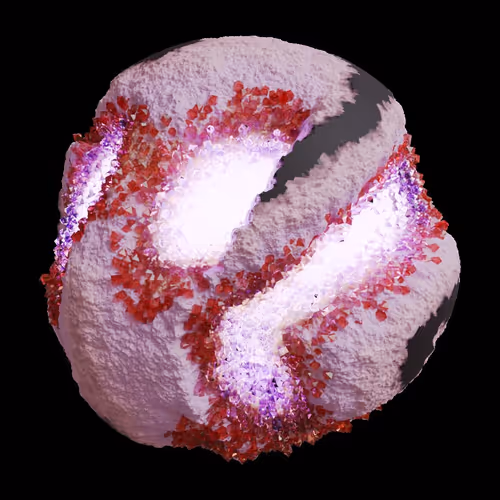 Asm Gen Ii Brains