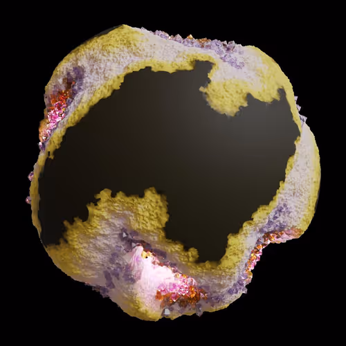 Asm Gen Ii Brains