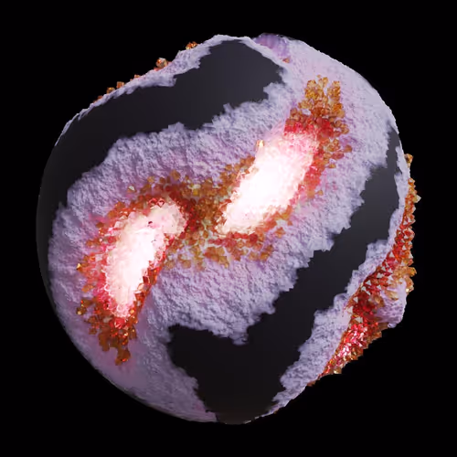Asm Gen Ii Brains