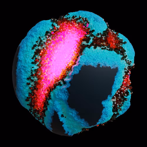 Asm Gen Ii Brains
