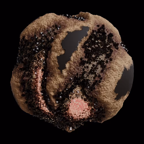 Asm Gen Ii Brains