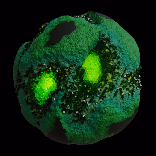 Asm Gen Ii Brains