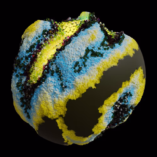 Asm Gen Ii Brains