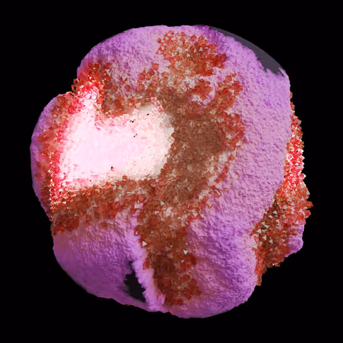 Asm Gen Ii Brains