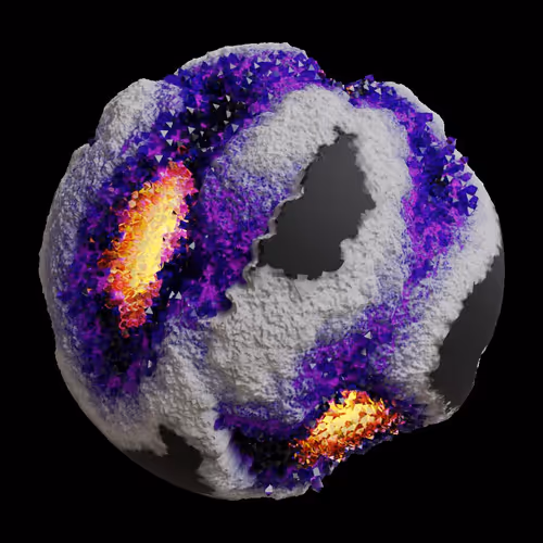 Asm Gen Ii Brains