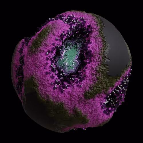 Asm Gen Ii Brains