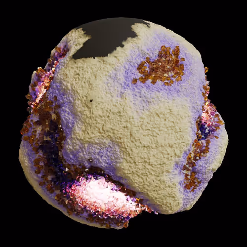 Asm Gen Ii Brains
