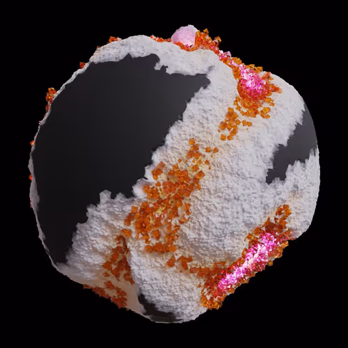 Asm Gen Ii Brains