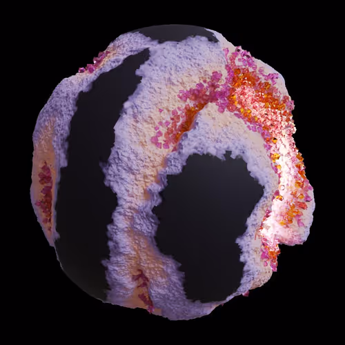 Asm Gen Ii Brains