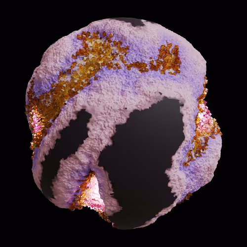 Asm Gen Ii Brains