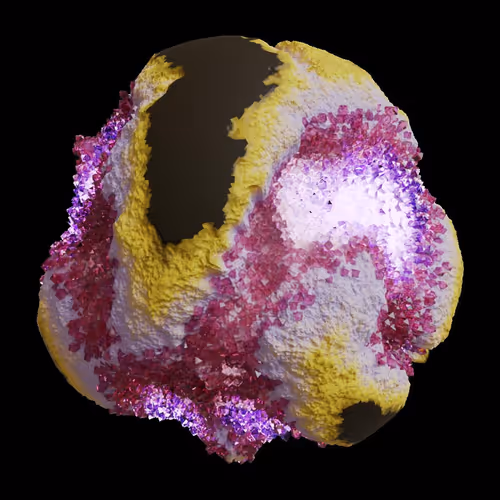 Asm Gen Ii Brains
