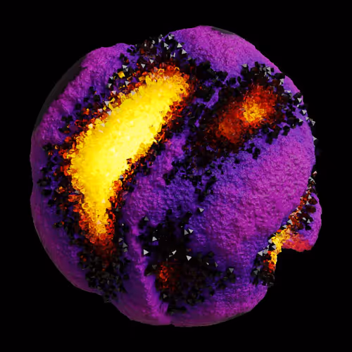 Asm Gen Ii Brains