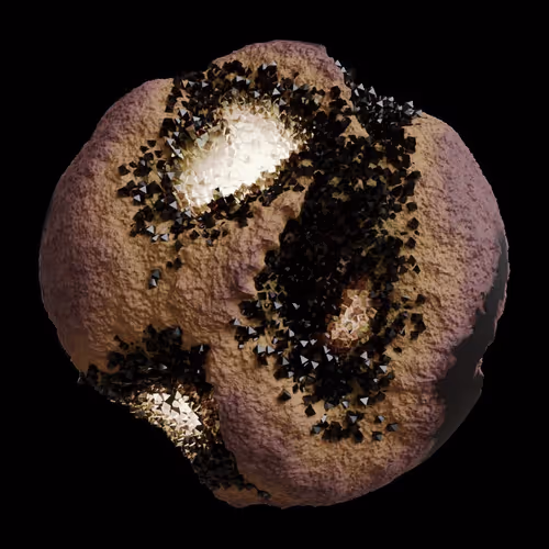 Asm Gen Ii Brains