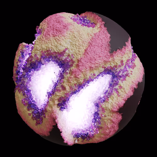 Asm Gen Ii Brains