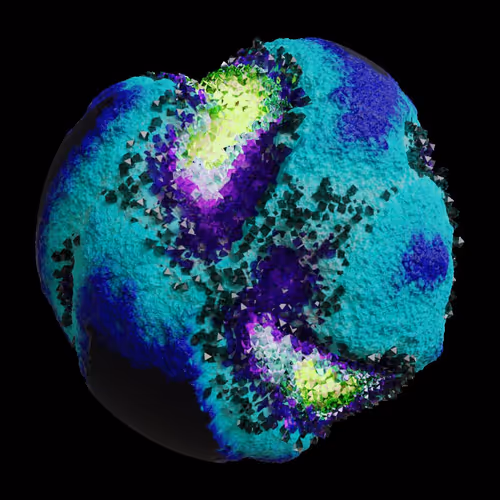 Asm Gen Ii Brains