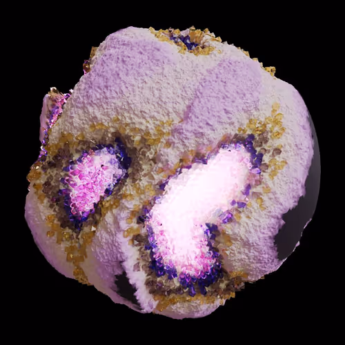 Asm Gen Ii Brains