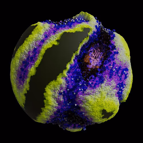 Asm Gen Ii Brains