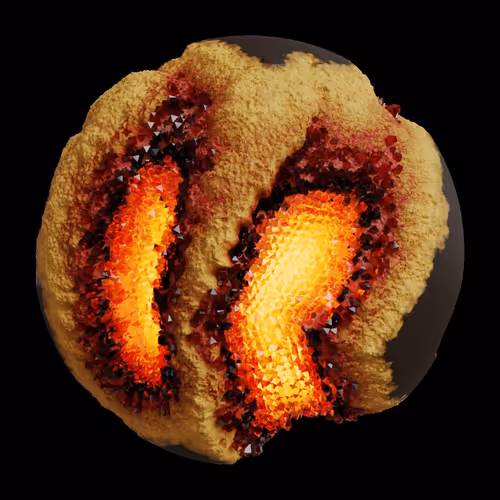 Asm Gen Ii Brains