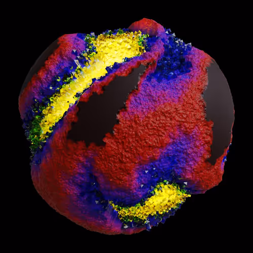 Asm Gen Ii Brains