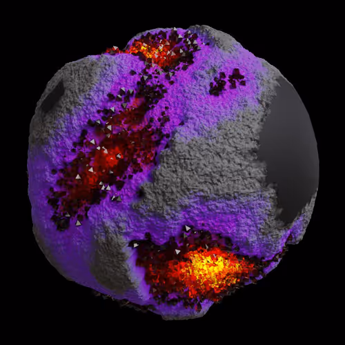 Asm Gen Ii Brains