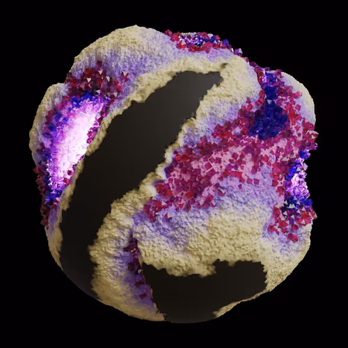 Asm Gen Ii Brains