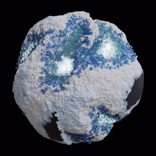 Asm Gen Ii Brains