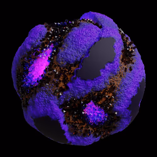 Asm Gen Ii Brains