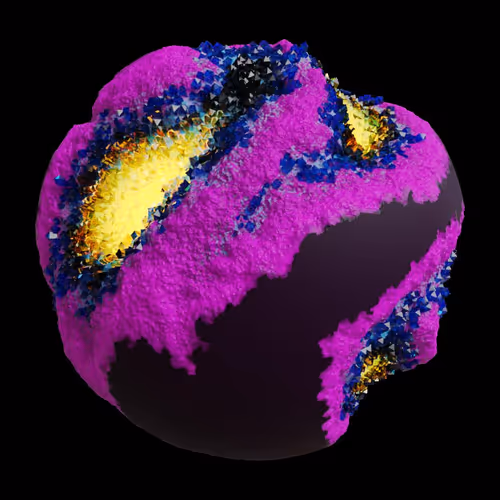 Asm Gen Ii Brains