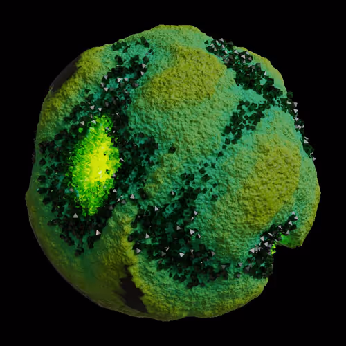 Asm Gen Ii Brains