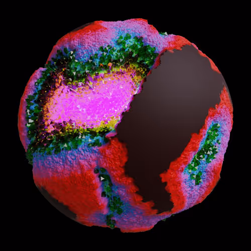 Asm Gen Ii Brains