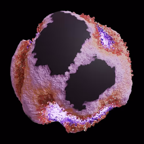 Asm Gen Ii Brains