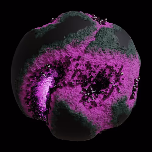 Asm Gen Ii Brains