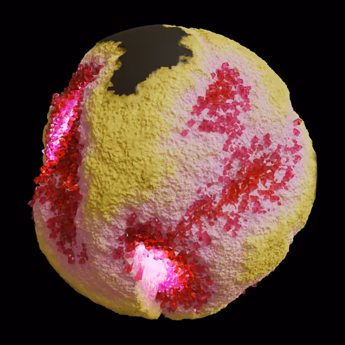 Asm Gen Ii Brains