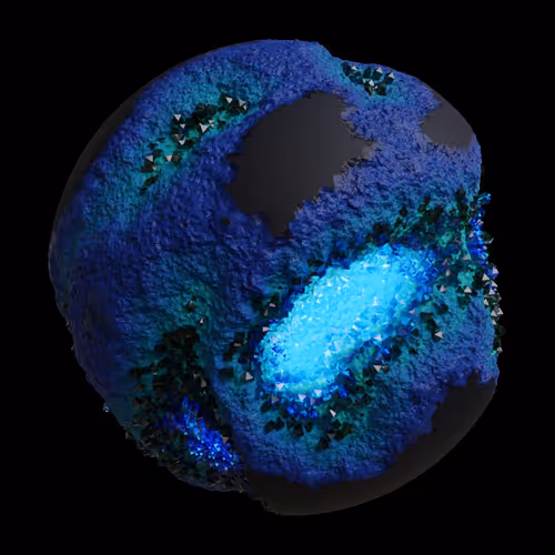 Asm Gen Ii Brains