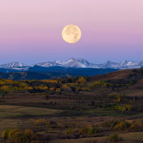 James Andrew Editions