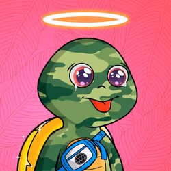 27