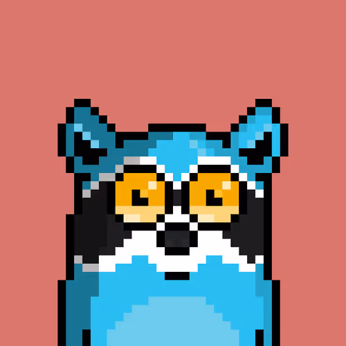 Moonracoons