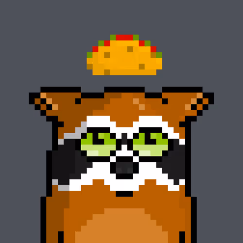 Moonracoons