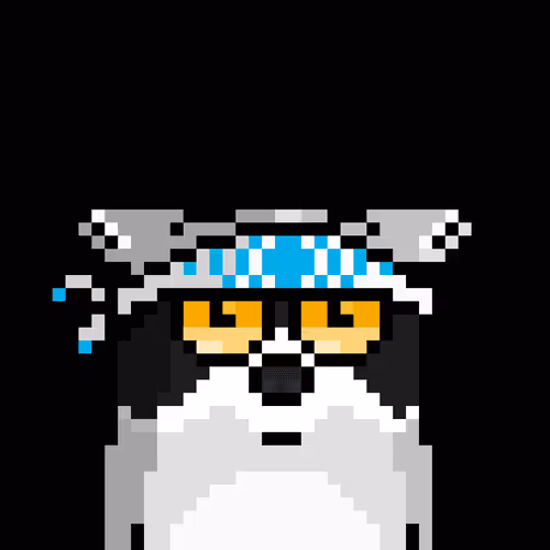 Moonracoons