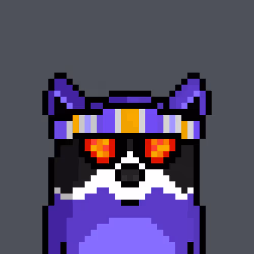 Moonracoons