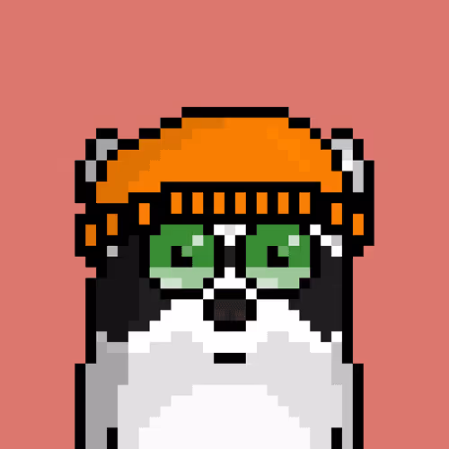 Moonracoons