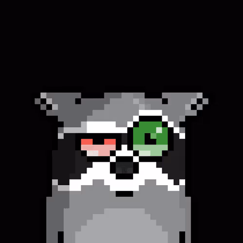 Moonracoons
