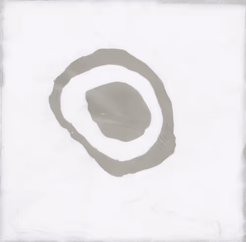 Fluint Series A