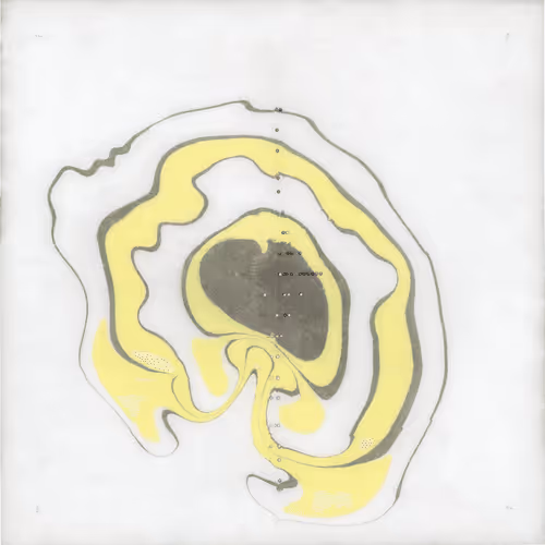 Fluint Series A