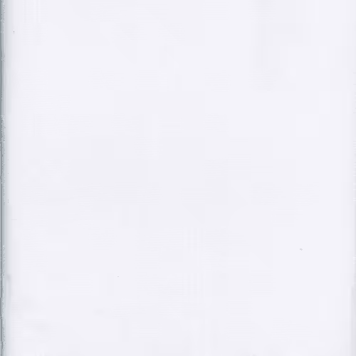 Fluint Series A